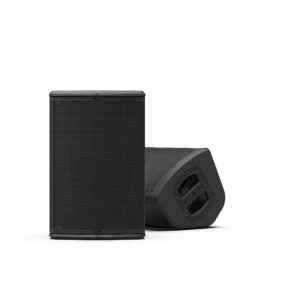 רמקול פסיבי מקצועי NEXO P8