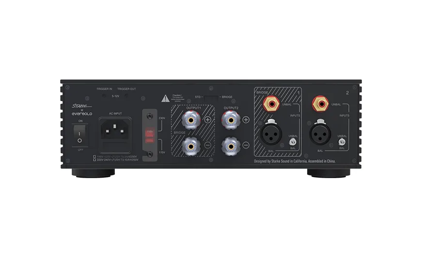 מגבר כוח Class D Eversolo AMP-F2, פאנל אחורי