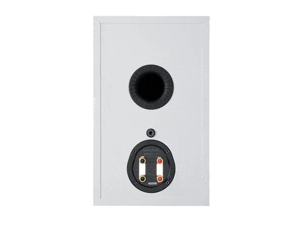 זוג רמקולי מדף Monitor Audio Bronze 100, מבט מאחור עם החיבורים