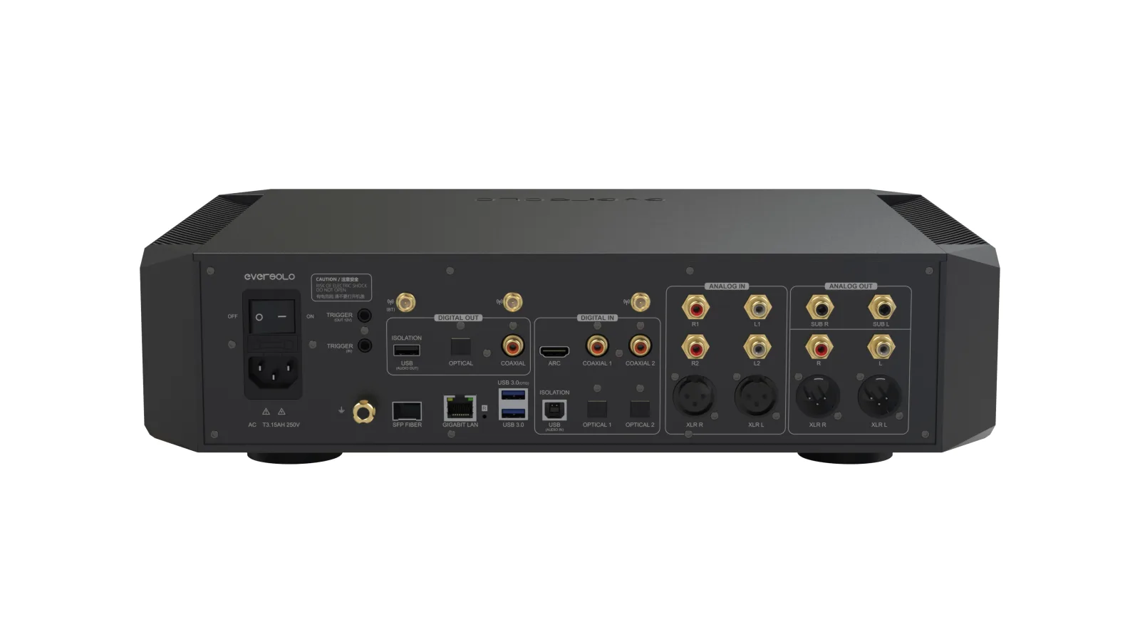 נגן סטרימינג וקדם מגבר Eversolo DMP-A10, פאנל אחורי