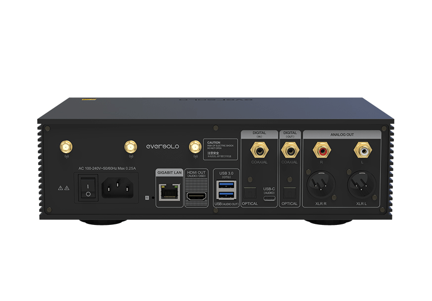 נגן סטרימינג Eversolo DMP-A6 Master Edition, הגב והחיבורים